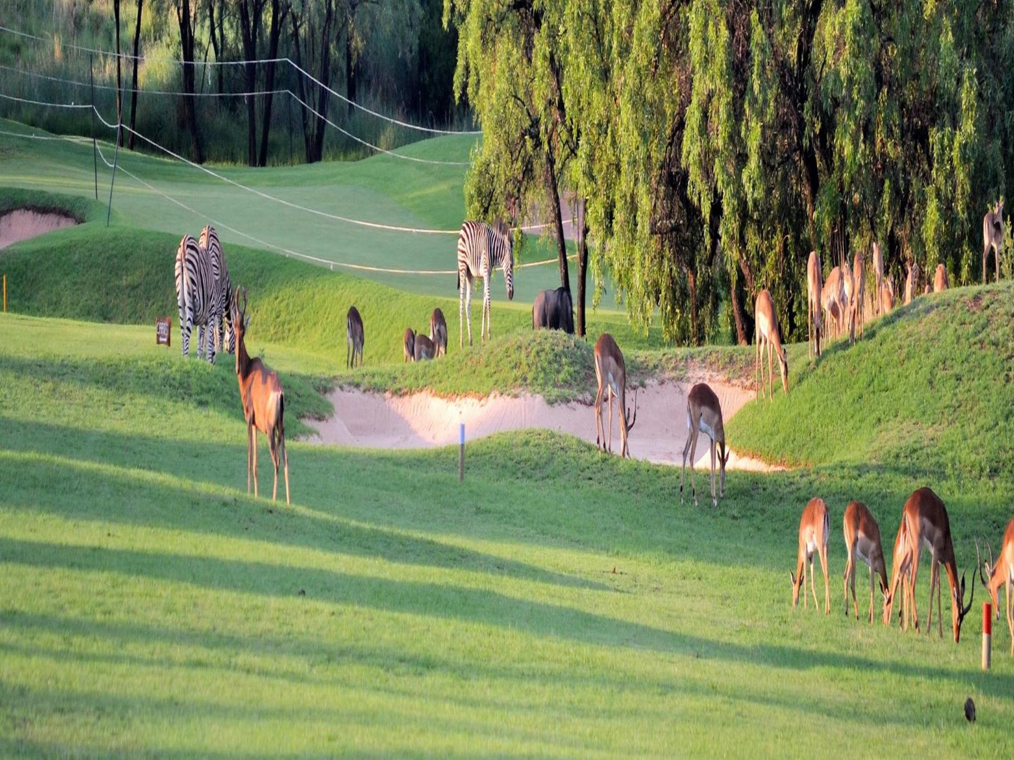 Вилла Elements Private Golf Reserve Бела-Бела Экстерьер фото